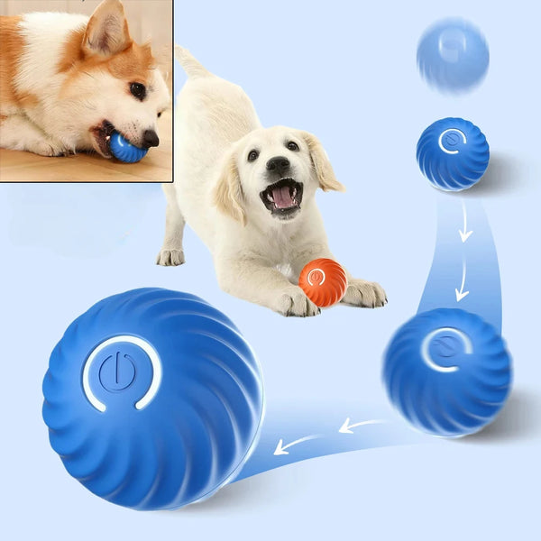 WoofBalle