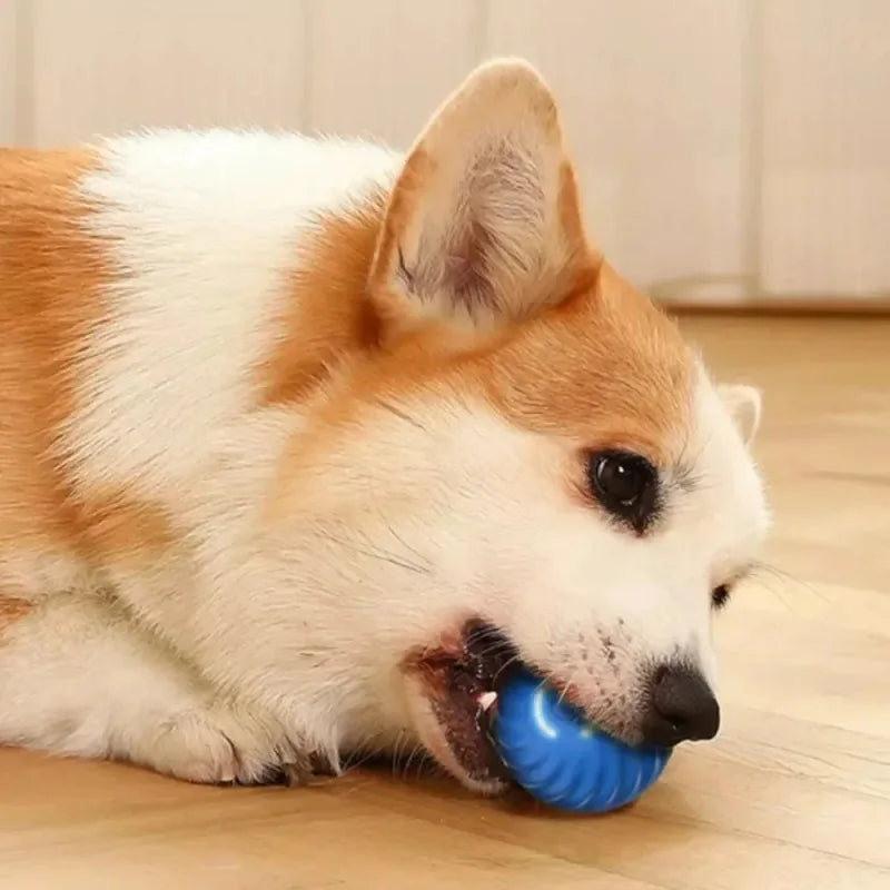 WoofBalle