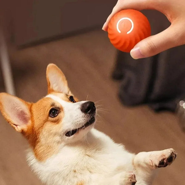 WoofBalle